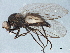  ( - BIOUG04468-B04)  @12 [ ] CreativeCommons - Attribution (2014) CBG Photography Group Centre for Biodiversity Genomics