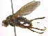  ( - BIOUG04485-F08)  @13 [ ] CreativeCommons - Attribution (2013) CBG Photography Group Centre for Biodiversity Genomics