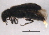  ( - BIOUG06877-E08)  @13 [ ] CreativeCommons - Attribution (2014) CBG Photography Group Centre for Biodiversity Genomics