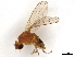  ( - BIOUG19125-B07)  @11 [ ] CreativeCommons - Attribution (2021) CBG Photography Group Centre for Biodiversity Genomics