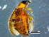  ( - DBCACOLE_AIA059)  @11 [ ] CreativeCommons - Attribution Non-Commercial Share-Alike (2019) DBCA Department of Biodiversity, Conservation and Attractions