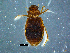  ( - DBCACOLE_AIA098)  @11 [ ] CreativeCommons - Attribution Non-Commercial Share-Alike (2019) DBCA Department of Biodiversity, Conservation and Attractions