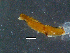  ( - DBCACOLE_AIA129)  @11 [ ] CreativeCommons - Attribution Non-Commercial Share-Alike (2019) DBCA Department of Biodiversity, Conservation and Attractions