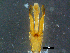  ( - DBCACOLE_AIA129)  @11 [ ] CreativeCommons - Attribution Non-Commercial Share-Alike (2019) DBCA Department of Biodiversity, Conservation and Attractions