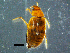  ( - DBCACOLE_AIA129)  @11 [ ] CreativeCommons - Attribution Non-Commercial Share-Alike (2019) DBCA Department of Biodiversity, Conservation and Attractions