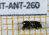  ( - BC-JT-ANT-260)  @11 [ ] Copyright (2020) Julien Touroult Museum national d'Histoire naturelle