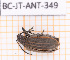  ( - BC-JT-ANT-349)  @11 [ ] Copyright (2020) Julien Touroult Museum national d'Histoire naturelle