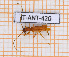  ( - JT-ANT-420)  @11 [ ] Copyright (2020) Julien Touroult Museum national d'Histoire naturelle