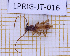  ( - LPRIG-JT-016)  @11 [ ] CC-By (2025) Julien Touroult MNHN