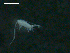  ( - 12NJNB0011)  @13 [ ] Unspecified (default): All Rights Reserved  Unspecified Unspecified