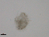  ( - BIOUG01718-E09)  @12 [ ] CreativeCommons - Attribution (2013) CBG Photography Group Centre for Biodiversity Genomics