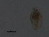  ( - BIOUG01718-H08)  @12 [ ] CreativeCommons - Attribution (2013) CBG Photography Group Centre for Biodiversity Genomics