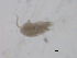  ( - BIOUG03325-C03)  @12 [ ] CreativeCommons - Attribution (2013) CBG Photography Group Centre for Biodiversity Genomics