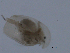  ( - BIOUG03325-D09)  @13 [ ] CreativeCommons - Attribution (2013) CBG Photography Group Centre for Biodiversity Genomics