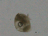  ( - BIOUG03325-F04)  @12 [ ] CreativeCommons - Attribution (2013) CBG Photography Group Centre for Biodiversity Genomics