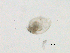  ( - BIOUG03326-B09)  @12 [ ] CreativeCommons - Attribution (2013) CBG Photography Group Centre for Biodiversity Genomics