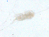  ( - BIOUG03326-C12)  @13 [ ] CreativeCommons - Attribution (2013) CBG Photography Group Centre for Biodiversity Genomics