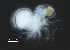  ( - 12NJNB0009)  @14 [ ] CreativeCommons - Attribution (2012) CBG Photography Group Centre for Biodiversity Genomics
