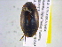  ( - BIOUG02564-F08)  @12 [ ] CreativeCommons - Attribution (2013) CBG Photography Group Centre for Biodiversity Genomics