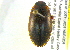  ( - BIOUG02564-G07)  @13 [ ] CreativeCommons - Attribution (2013) CBG Photography Group Centre for Biodiversity Genomics