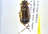  ( - BIOUG02564-G11)  @13 [ ] CreativeCommons - Attribution (2013) CBG Photography Group Centre for Biodiversity Genomics