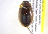  ( - BIOUG02565-B01)  @13 [ ] CreativeCommons - Attribution (2013) CBG Photography Group Centre for Biodiversity Genomics