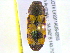  ( - BIOUG02565-D11)  @13 [ ] CreativeCommons - Attribution (2013) CBG Photography Group Centre for Biodiversity Genomics