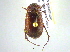  (Scitala - BIOUG02567-G02)  @14 [ ] CreativeCommons - Attribution (2013) CBG Photography Group Centre for Biodiversity Genomics