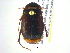  ( - BIOUG02567-G03)  @13 [ ] CreativeCommons - Attribution (2013) CBG Photography Group Centre for Biodiversity Genomics