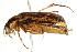  ( - BIOUG02570-H01)  @12 [ ] CreativeCommons - Attribution (2013) CBG Photography Group Centre for Biodiversity Genomics