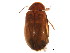  ( - BIOUG00834-E12)  @13 [ ] CreativeCommons - Attribution (2011) CBG Photography Group Centre for Biodiversity Genomics