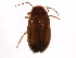  ( - BIOUG00834-G01)  @13 [ ] CreativeCommons - Attribution (2011) CBG Photography Group Centre for Biodiversity Genomics