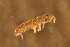  ( - LNP_013)  @12 [ ] Unspecified (default): All Rights Reserved  Unspecified Unspecified