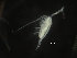  ( - COPCLAD288)  @11 [ ] CreativeCommons - Attribution Non-Commercial Share-Alike (2017) IMR Institute of Marine research