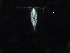  ( - COPCLAD428)  @11 [ ] CreativeCommons - Attribution Non-Commercial Share-Alike (2017) IMR Institute of Marine research