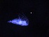  (Calocalanus styliremis - COPCLAD447)  @11 [ ] CreativeCommons - Attribution Non-Commercial Share-Alike (2017) IMR Institute of Marine research