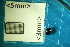  (Scymnus apetzoides - Cocc_2_B9)  @11 [ ] CreativeCommons Attribution (2025) Dept Invertebrate Zoology and Hydrobiology, University of Lodz University of Lodz