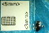  ( - Cocc_2_C1)  @11 [ ] CreativeCommons Attribution (2025) Dept Invertebrate Zoology and Hydrobiology, University of Lodz University of Lodz