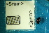  ( - Cocc_2_C6b)  @11 [ ] CreativeCommons Attribution (2025) Dept Invertebrate Zoology and Hydrobiology, University of Lodz University of Lodz