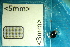  ( - Cocc_2_D7b)  @11 [ ] CreativeCommons Attribution (2025) Dept Invertebrate Zoology and Hydrobiology, University of Lodz University of Lodz
