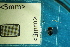  ( - Cocc_2_F10)  @11 [ ] CreativeCommons Attribution (2025) Dept Invertebrate Zoology and Hydrobiology, University of Lodz University of Lodz