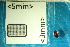  ( - Cocc_2_F9a)  @11 [ ] CreativeCommons Attribution (2025) Dept Invertebrate Zoology and Hydrobiology, University of Lodz University of Lodz