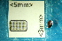  ( - Cocc_2_G1)  @11 [ ] CreativeCommons Attribution (2025) Dept Invertebrate Zoology and Hydrobiology, University of Lodz University of Lodz