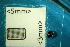  ( - Cocc_2_G3b)  @11 [ ] CreativeCommons Attribution (2025) Dept Invertebrate Zoology and Hydrobiology, University of Lodz University of Lodz