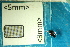  ( - Cocc_2_G6)  @11 [ ] CreativeCommons Attribution (2025) Dept Invertebrate Zoology and Hydrobiology, University of Lodz University of Lodz