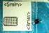  ( - Cocc_2_H2)  @11 [ ] CreativeCommons Attribution (2025) Dept Invertebrate Zoology and Hydrobiology, University of Lodz University of Lodz