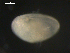  ( - BJL-CH127)  @11 [ ] CreativeCommons - Attribution (2010) Unspecified Centre for Biodiversity Genomics