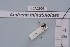  ( - BCA1903)  @11 [ ] CC-BY-NC (2023) INRAE INRAE
