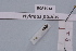  ( - BCA1914)  @11 [ ] CC-BY-NC (2023) INRAE INRAE