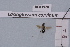  ( - BCA1920)  @11 [ ] CC-BY-NC (2023) INRAE INRAE